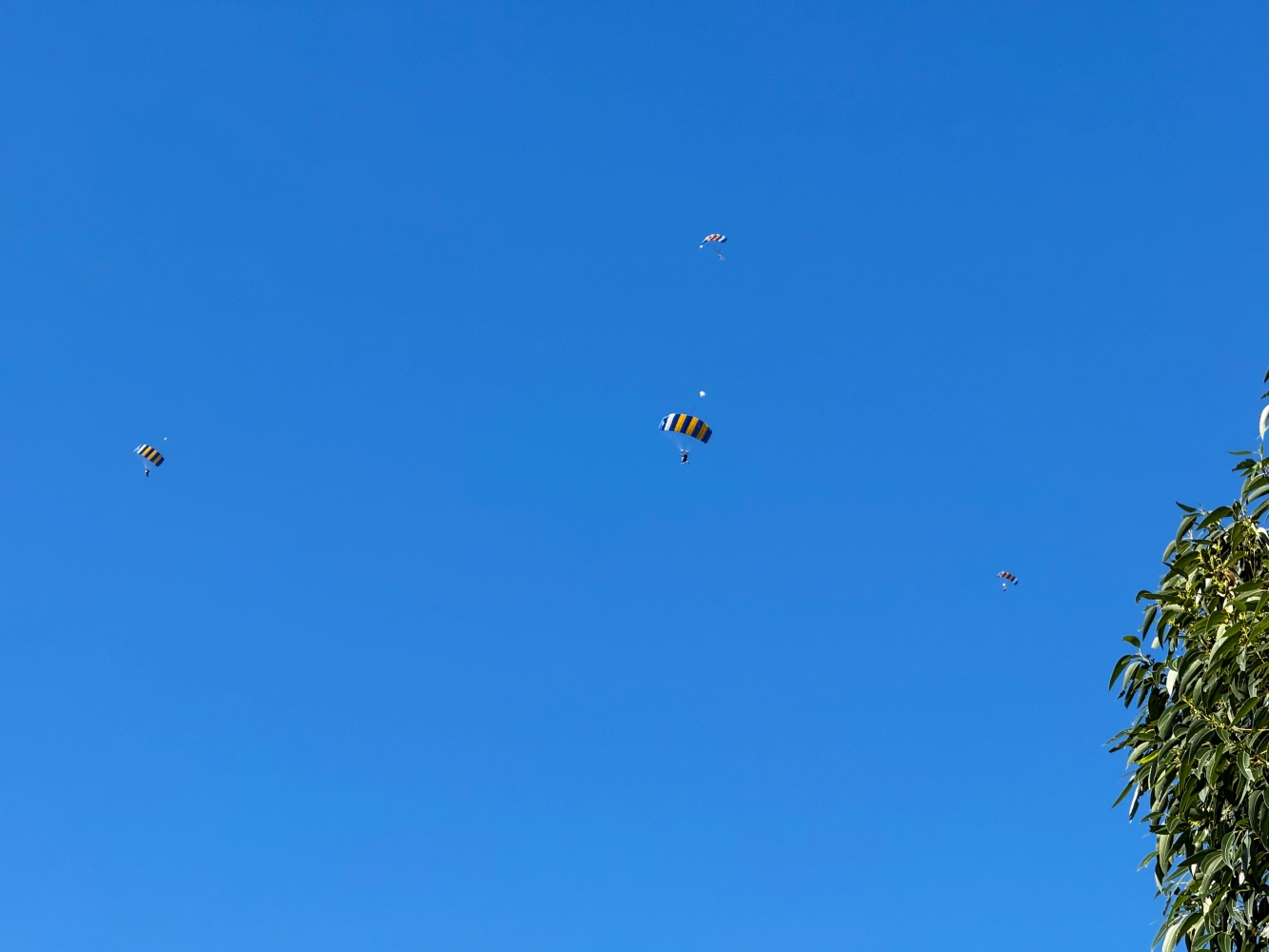 [澳洲拜倫灣] Byron Bay Skydive 跳傘體驗 海岸線真的美到忘記害怕｜KKday預訂含接駁 報到流程 攝影方案完整分享｜欣賞澳洲本土最東端 跳下去那刻真的爽到炸