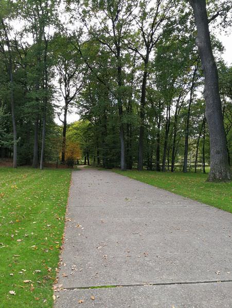 [荷蘭海爾德蘭]荷蘭梵谷國家公園(庫勒慕勒美術館)