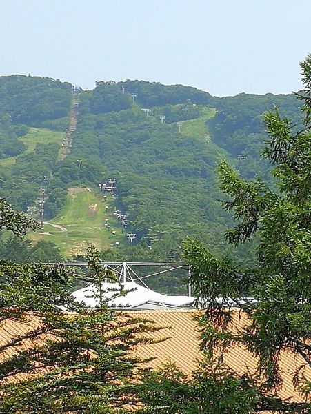 [日本清井澤]來去輕井澤王子Outlet血拚囉