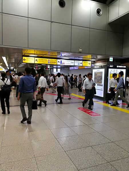 [日本神奈川]從東京前往神奈川鎌倉囉(含交通攻略)