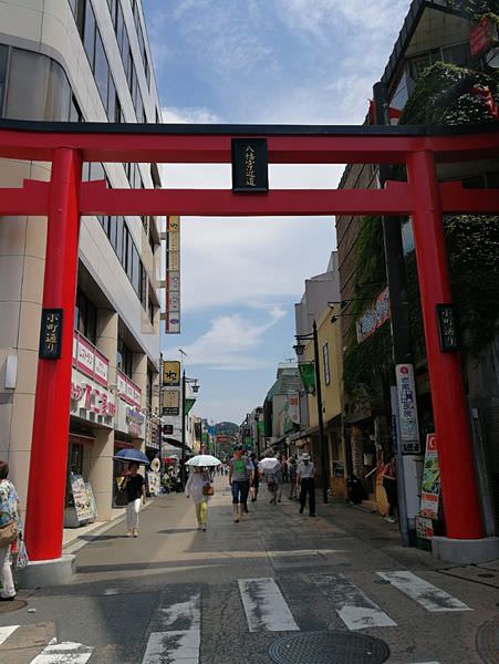 [日本神奈川]鎌倉小町通&鶴岡八幡宮
