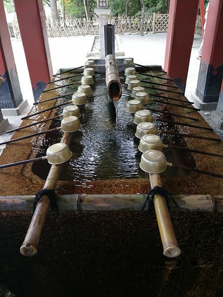 [日本神奈川]鎌倉小町通&鶴岡八幡宮