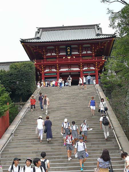 [日本神奈川]鎌倉小町通&鶴岡八幡宮