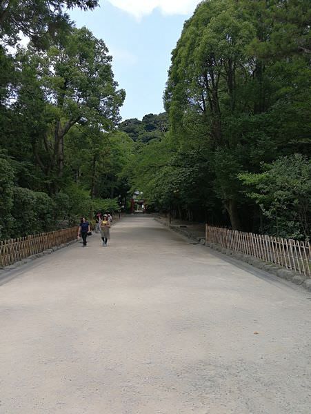 [日本神奈川]鎌倉小町通&鶴岡八幡宮