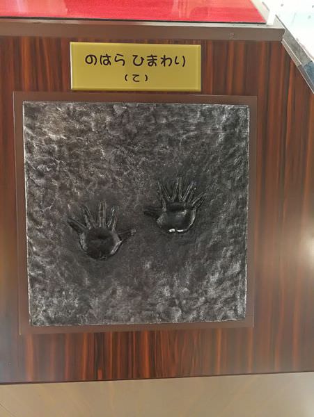 [日本埼玉縣]蠟筆小新遊藝場~看到滿滿的小新超可愛