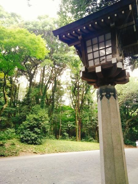 [日本東京]明治神宮走透透 呼吸新鮮空氣