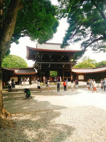 [日本東京]明治神宮走透透 呼吸新鮮空氣